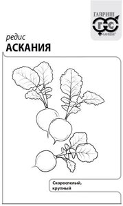 Редис Аскания, 1,0г, б/п Г