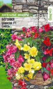 Бегония Шансон Смесь ампельная клубневая 10шт аэлита