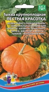 Тыква Пестрая красотка (УД)6шт