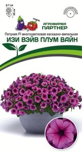 ПЕТУНИЯ F1 СЕРИЯ ИЗИ ВЭЙВ ПЛУМ ВАЙН/ МНОГОЦВЕТКОВАЯ КАСКАДНО-АМПЕЛЬНАЯ ^(5ШТ В АМП)