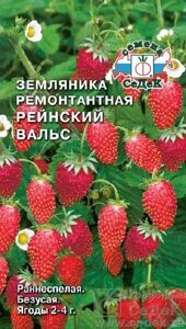 Земляника Рейнский Вальс 0,04г седек