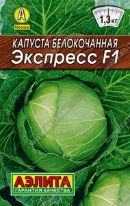 Капуста б/к Экспресс лидер 20шт А