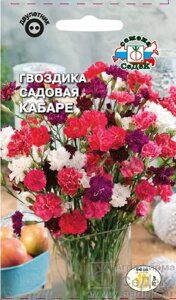Гвоздика Кабаре, смесь 0,1гр СДК ! НОВИНКА! в Могилевской области от компании "Садовник - Могилев"