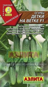 Огурец Детки на ветке F1 10шт Аэлита