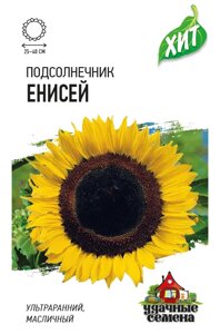 Подсолнечник Енисей 5 г ХИТ х3 (Г)