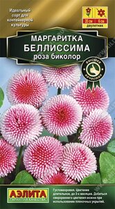 Маргаритка Беллиссима роза биколор НОВИНКА 7шт