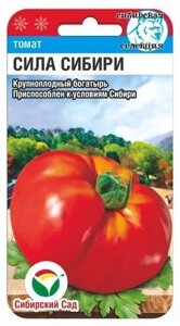 Сила Сибири 20шт томат в Могилевской области от компании "Садовник - Могилев"