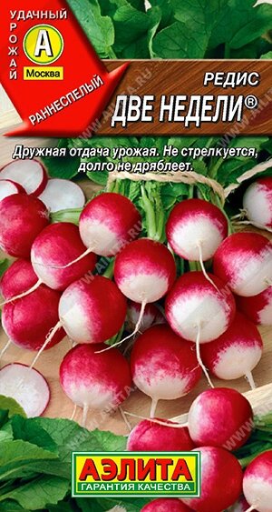 Редис Две недели 2гр от компании Садовник - все для сада и огорода. Семена почтой по всей РБ - фото 1