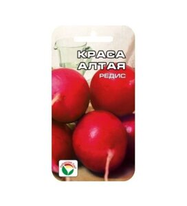 Редис Краса Алтая 2 гр сиб сад