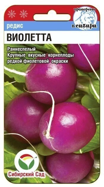 Редис Виолетта 2гр сиб сад от компании Садовник - все для сада и огорода. Семена почтой по всей РБ - фото 1