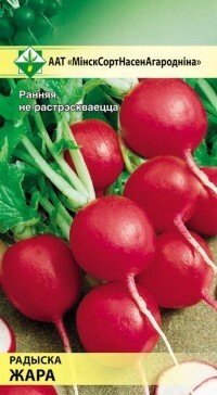 Редис Жара 3г МССО от компании Садовник - все для сада и огорода - фото 1