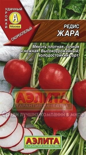 Редис Жара (А)3г. от компании Садовник - все для сада и огорода - фото 1