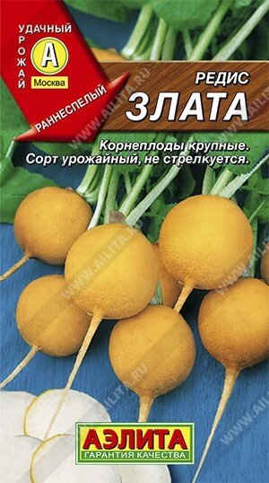 Редис Злата 3г. (А) от компании Садовник - все для сада и огорода. Семена почтой по всей РБ - фото 1