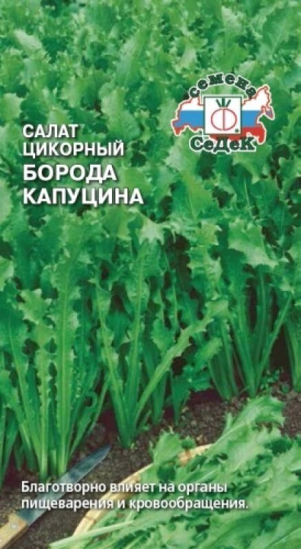 Салат Борода Капуцина 0,5 СДК от компании Садовник - все для сада и огорода - фото 1