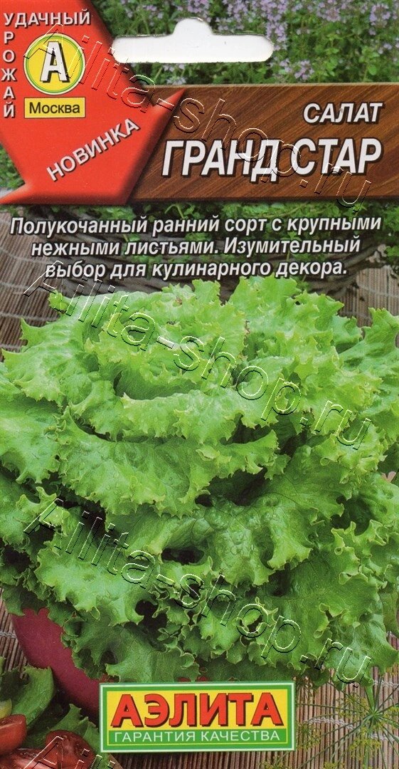 Салат Гранд стар 0,5г аэлита от компании Садовник - все для сада и огорода. Семена почтой по всей РБ - фото 1