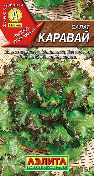Салат Каравай листовой 0.5г. АЭЛИТА срок до 12,24 от компании Садовник - все для сада и огорода - фото 1