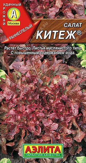 Салат Китеж листовой АЭЛИТА на скидке срок годности до 12,24г от компании Садовник - все для сада и огорода. Семена почтой по всей РБ - фото 1