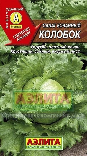 Салат кочанный Колобок 0,5 г АЭЛИТА от компании Садовник - все для сада и огорода - фото 1