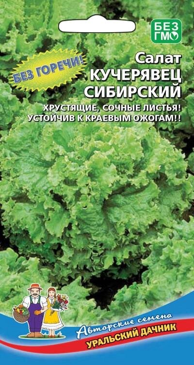 Салат Кучерявец сибирский 0,3гр от компании Садовник - все для сада и огорода - фото 1