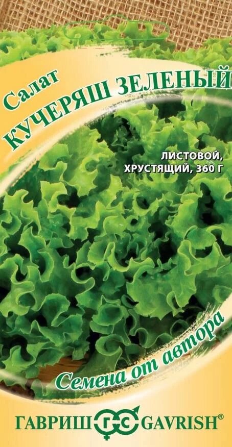 Салат листовой Кучеряш зеленый, 0,5г, Г от компании Садовник - все для сада и огорода. Семена почтой по всей РБ - фото 1