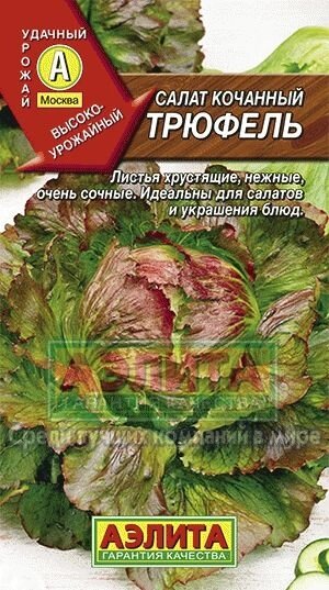 Салат Трюфель кочанный 0,5 г АЭЛИТА на скидке срок годности до 12,24г от компании Садовник - все для сада и огорода - фото 1