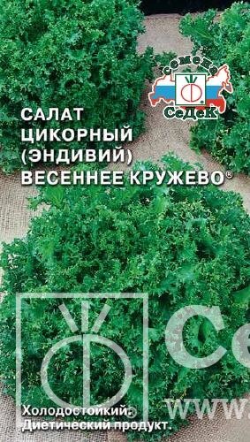 Салат Весеннее Кружево (эндивий) 0.5г. от компании Садовник - все для сада и огорода - фото 1