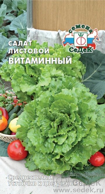 Салат Витаминный  0,5гр. СДК ! НОВИНКА! от компании Садовник - все для сада и огорода - фото 1