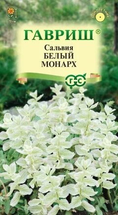 Сальвия Белый монарх, 0,05г, Гавриш от компании Садовник - все для сада и огорода - фото 1