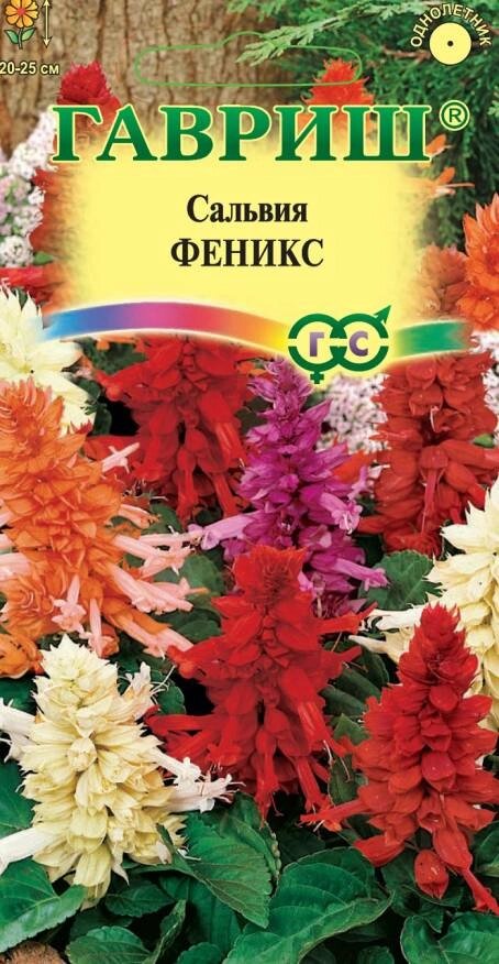 Сальвия Феникс, смесь, 0,05г от компании Садовник - все для сада и огорода - фото 1