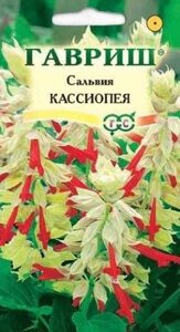 Сальвия Кассиопея 5 шт (Г) НОВИНКА !