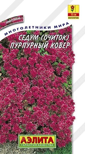 Седум Пурпурный ковер 0.02г. от компании Садовник - все для сада и огорода - фото 1