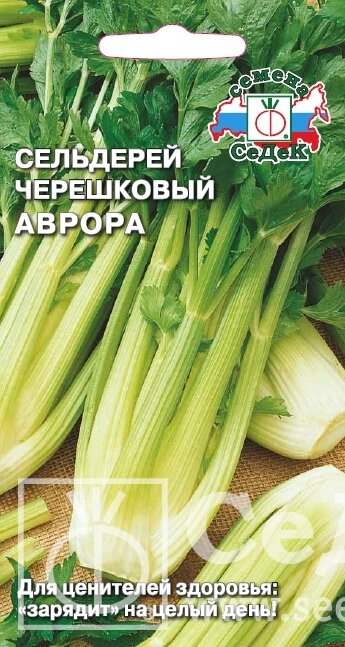 Сельдерей Аврора (черешковый) 0.5г. от компании Садовник - все для сада и огорода - фото 1