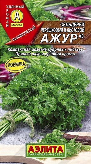 Сельдерей листовой Ажур 0.5г. АЭЛИТА от компании Садовник - все для сада и огорода. Семена почтой по всей РБ - фото 1