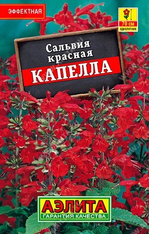 Семена цветов Сальвия Капелла красная лидер Аэлита/ 0,1 г от компании Садовник - все для сада и огорода - фото 1