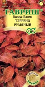 Семена Колеус Тэррено румяный, 4шт, Гавриш, Элитная клумба