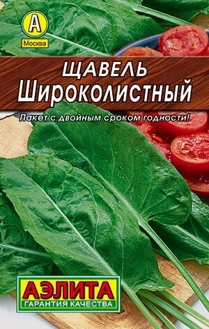 Щавель Широколистный 0.5г.  АЭЛИТА от компании Садовник - все для сада и огорода. Семена почтой по всей РБ - фото 1