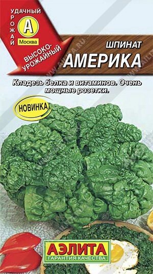 Шпинат Америка 3г. АЭЛИТА от компании Садовник - все для сада и огорода. Семена почтой по всей РБ - фото 1