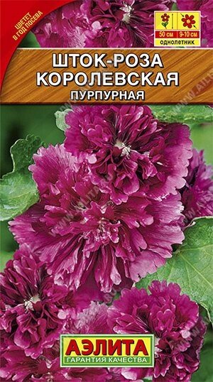 Шток-роза Королевская пурпурная 0.1г.на скидке срок годности до 12,24г от компании Садовник - все для сада и огорода - фото 1