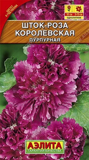 Шток-роза Королевская пурпурная 0.1г. от компании Садовник - все для сада и огорода - фото 1
