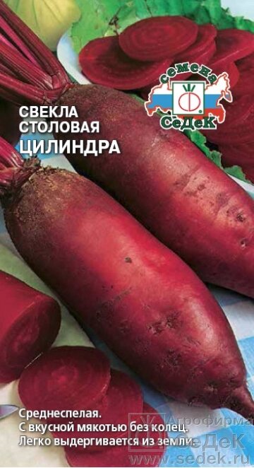 Свекла Цилиндра (столовая) 3 гр СДК ! НОВИНКА! от компании Садовник - все для сада и огорода - фото 1