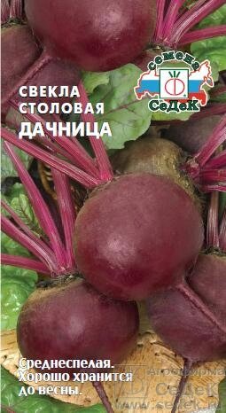 Свекла Дачница (столовая) 3 гр СДК ! НОВИНКА! от компании Садовник - все для сада и огорода - фото 1