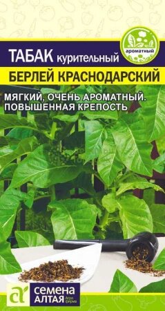 Табак курительный Берлей Краснодарский SA 0,01г семена Семена Алтая от компании Садовник - все для сада и огорода - фото 1