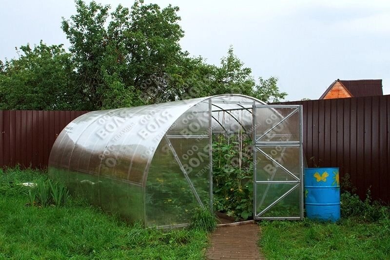 Теплица Дачная ЭКО 6 метров из оцинкованного W-образного профиля от компании Садовник - все для сада и огорода - фото 1
