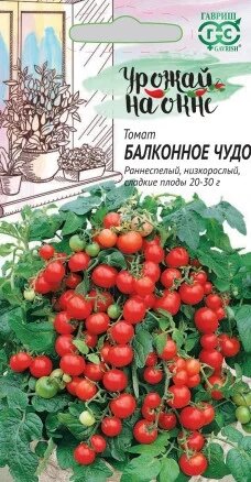 Томат Балконное чудо, 0,05г, Гавриш, Урожай на окне от компании Садовник - все для сада и огорода. Семена почтой по всей РБ - фото 1