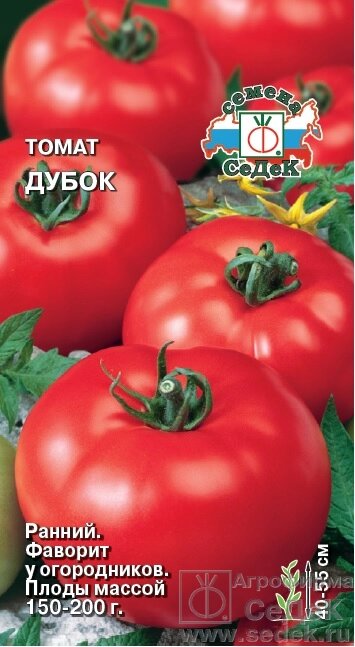 Томат Дубок 0,1 гр СДК ! НОВИНКА! от компании Садовник - все для сада и огорода - фото 1