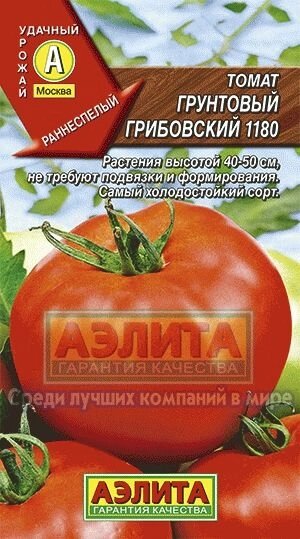 Томат Грунтовый Грибовский 0.2г Аэлита от компании Садовник - все для сада и огорода. Семена почтой по всей РБ - фото 1