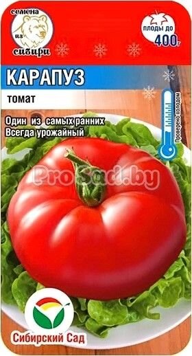 Томат Карапуз 20 шт сиб. сад от компании Садовник - все для сада и огорода - фото 1