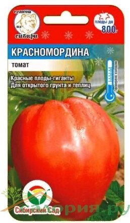 Томат Красномордина 20 шт от компании Садовник - все для сада и огорода - фото 1