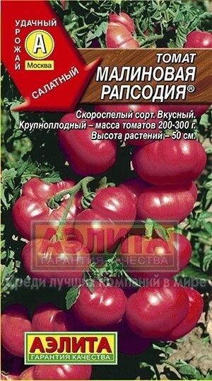 Томат Малиновая рапсодия 0,2 г Аэлита от компании Садовник - все для сада и огорода. Семена почтой по всей РБ - фото 1