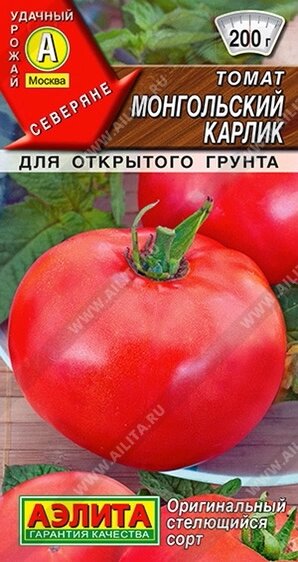 Томат Монгольский карлик 20шт. АЭЛИТА от компании Садовник - все для сада и огорода. Семена почтой по всей РБ - фото 1